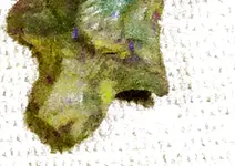 Arkie_finds_1a-vert-crop.webp