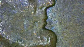 S20220117_0003.webp