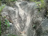 IMG_20190910_113027.webp