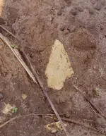 20220119_122832.webp