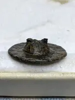 Anchor Brass back broken shank.webp