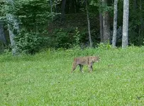 IMG_0003_1475081410686.webp