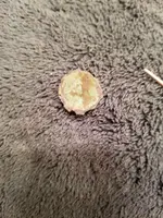 20220122_202955.webp