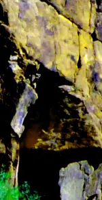 123951001_2.webp