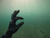 272447355_1599452790389283_6828213959293380320_n.webp