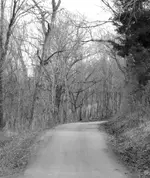 20211231_122815.webp