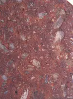 IMG_6052.webp