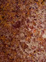 IMG_6051-pottery-shard.webp