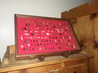 IMGP5210.webp