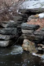 8339532_orig.webp