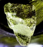 5B2FE679-E240-47CE-B832-D71780B9C48B-fossil-flip.webp