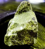 5B2FE679-E240-47CE-B832-D71780B9C48B-fossil.webp