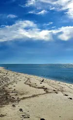 20220208_084318.webp