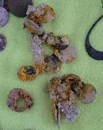 Bahamas 3.webp