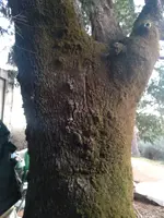 20220202_171720.webp