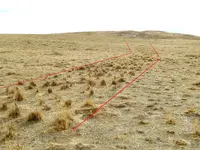land mark old trail.webp