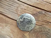DSCN2517.webp