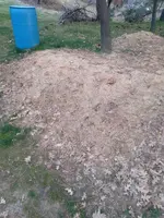 20220214_165556.webp