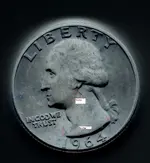 pited2 negative.webp