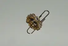 ringaug08.webp