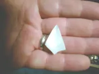 shell point.webp