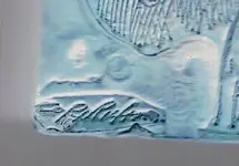 CCI00096.webp