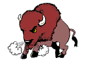 MADBISON.gif MADBISON.gif