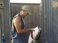 picresized_1225112257_Fish.webp