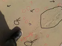 crowded beach.webp