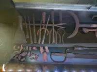 IMGP7751.webp