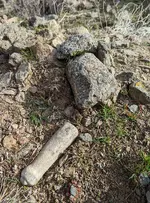 Pestle.webp