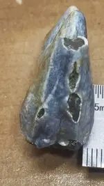 photo5206673000949201529.webp