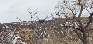 20220222_125934.webp
