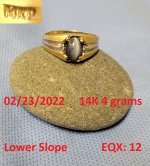 DocBeav 2022 Gold Ring #1.jpg