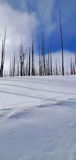 20220225_150258.webp
