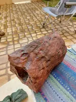 20220219_163029.webp