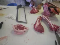 IMGP8379.webp