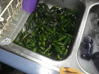 IMGP1473.webp