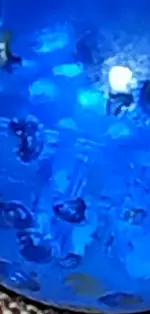 CM220302-174620005.webp