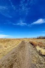 20220302_113059.webp