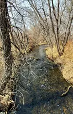 20220302_122242.webp