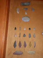 IMGP9334.webp