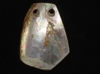 Drilled Shell El Dorado Co Ca 007.webp
