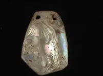 Drilled Shell El Dorado Co Ca 008.webp