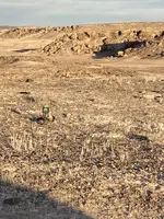 site 3-4-22.webp