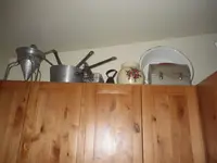 IMGP5285.webp