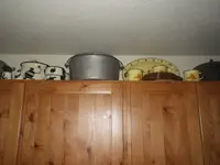 IMGP5283.webp