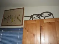 IMGP5281.webp