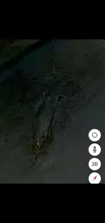 Screenshot_20220306-010820_Gallery.webp