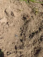 PXL_20220306_223119475.MP.jpg